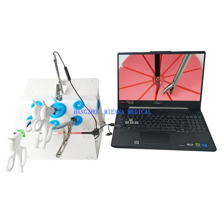 Medical Endoscopy Laparoscopic Training Box